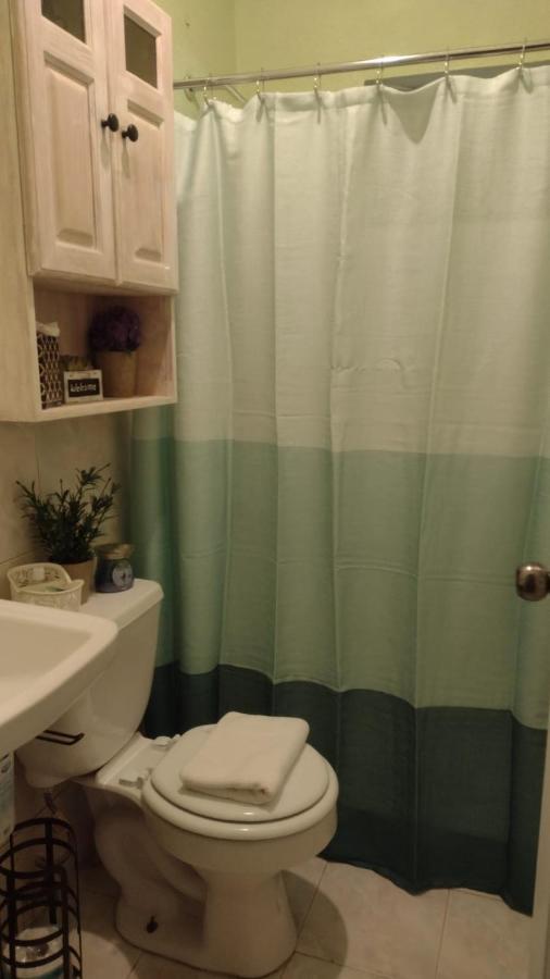 Michand Guest Apartment: Cozy Airport-Adjacent Stay Christ Church Exterior photo