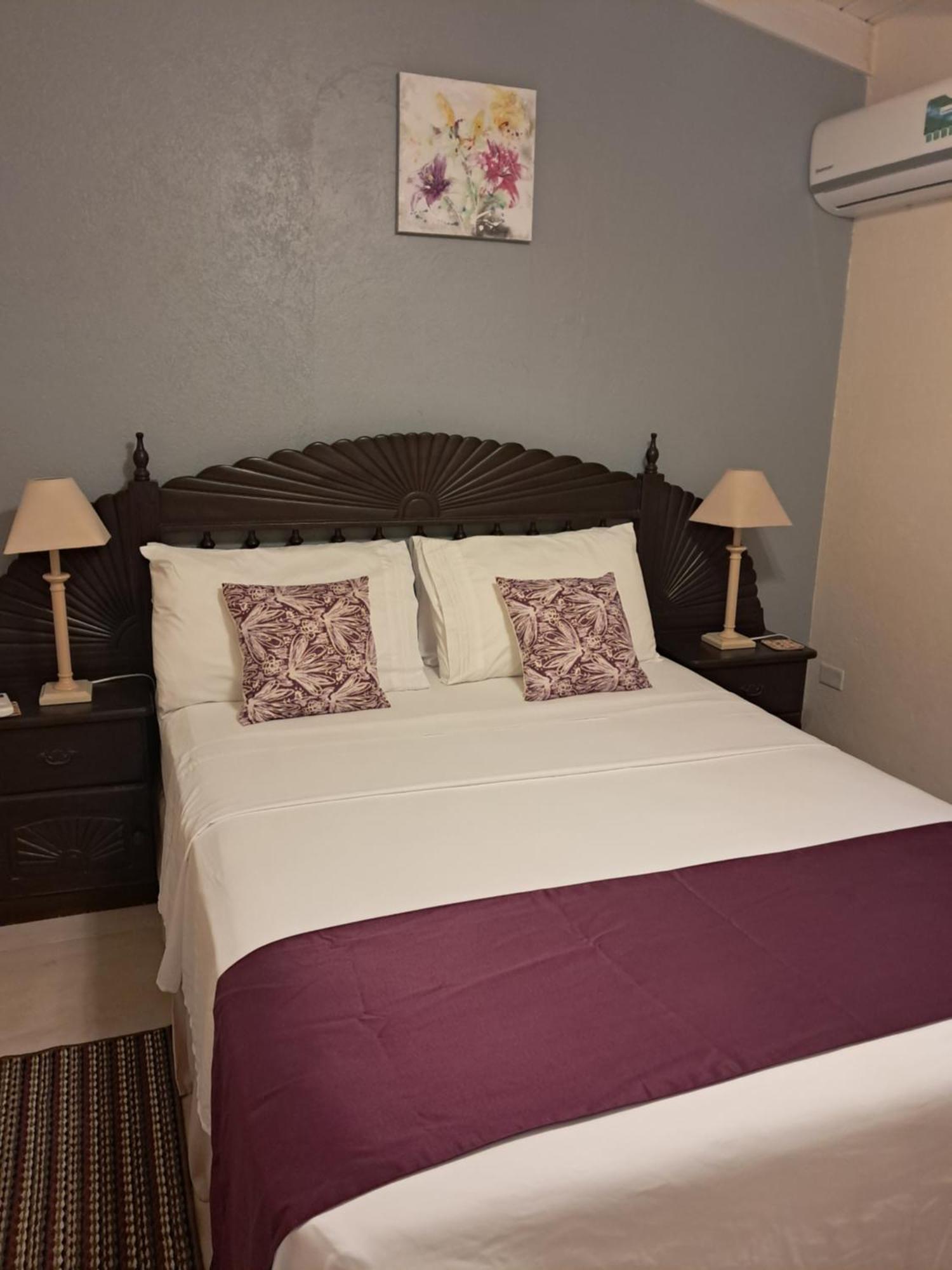 Michand Guest Apartment: Cozy Airport-Adjacent Stay Christ Church Exterior photo
