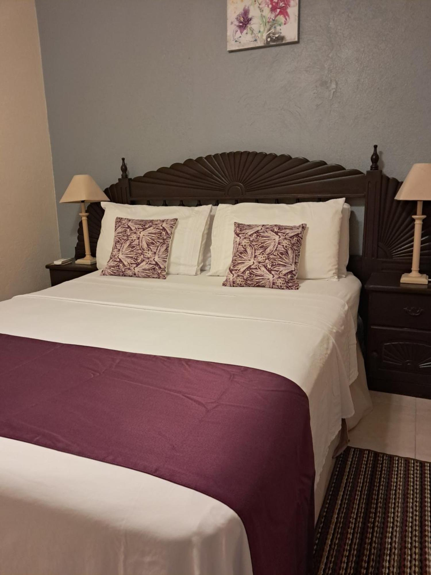 Michand Guest Apartment: Cozy Airport-Adjacent Stay Christ Church Exterior photo