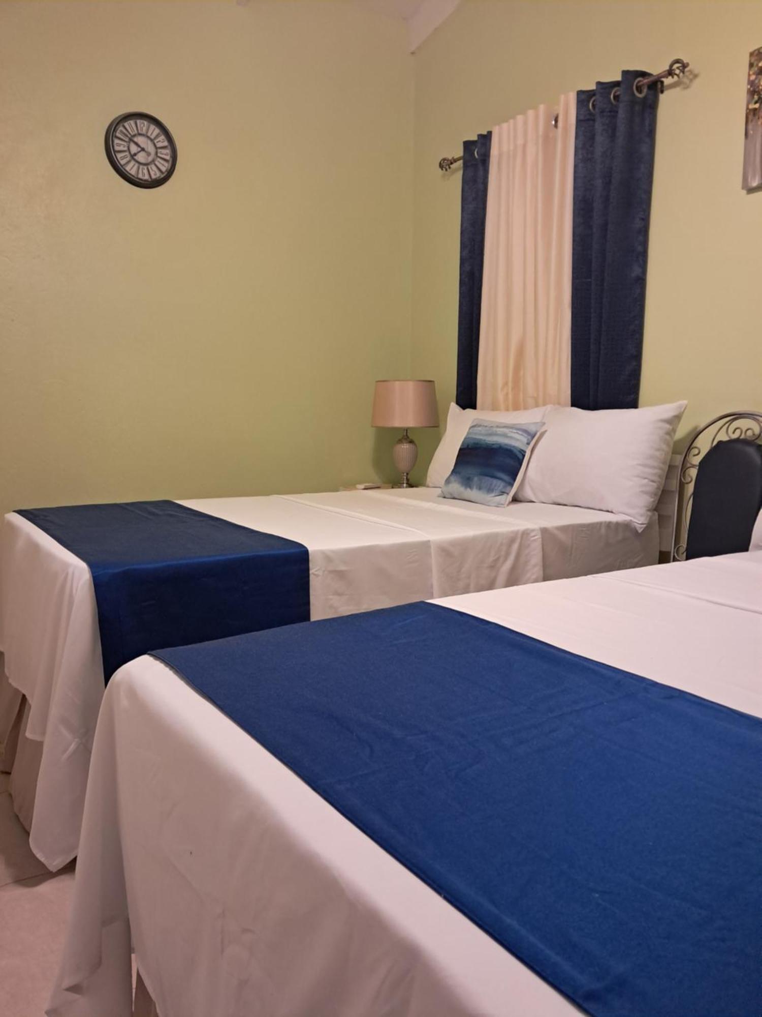 Michand Guest Apartment: Cozy Airport-Adjacent Stay Christ Church Exterior photo